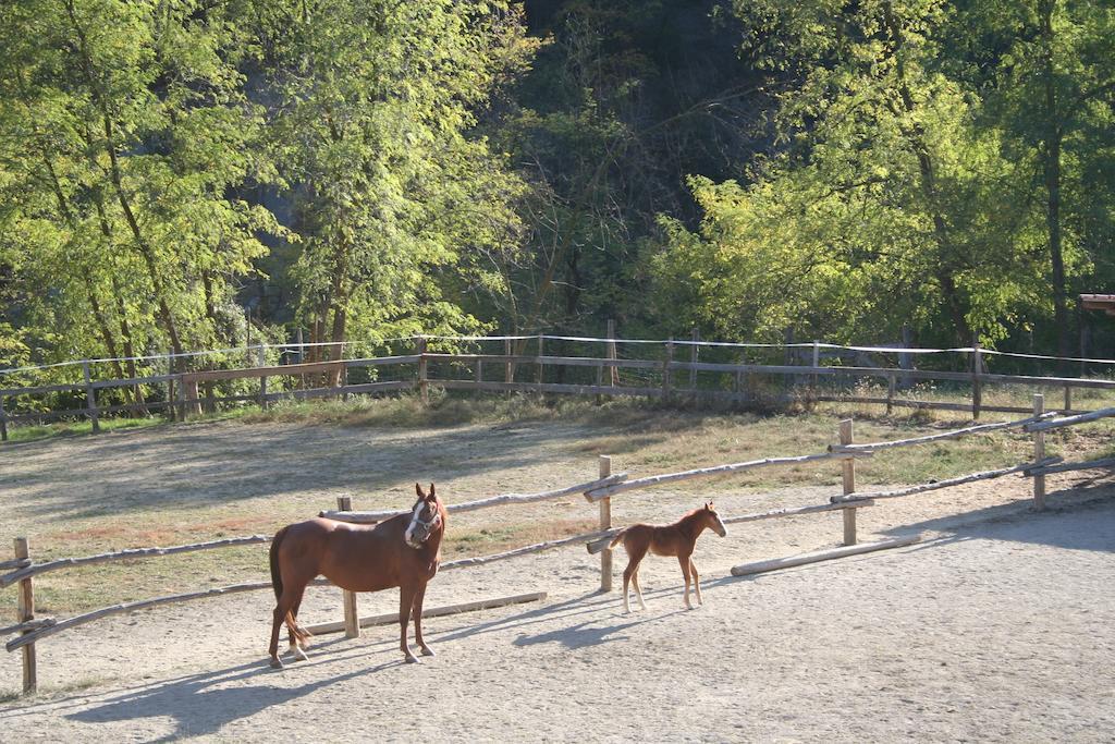 Agriturismo Cascina Del Vai Кайро Монтеноте Екстериор снимка