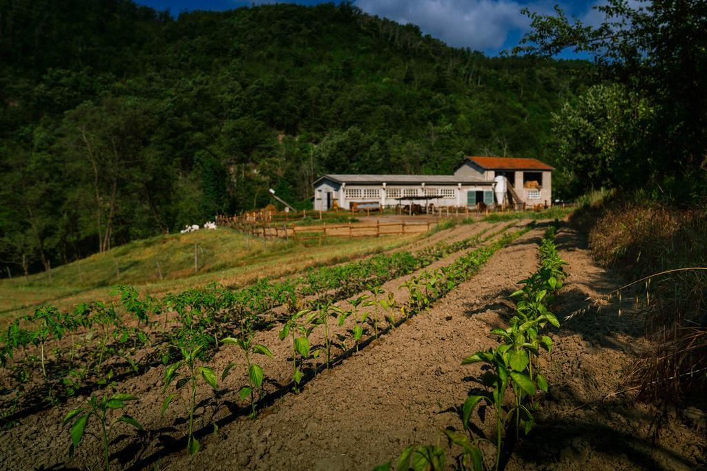 Agriturismo Cascina Del Vai Кайро Монтеноте Екстериор снимка